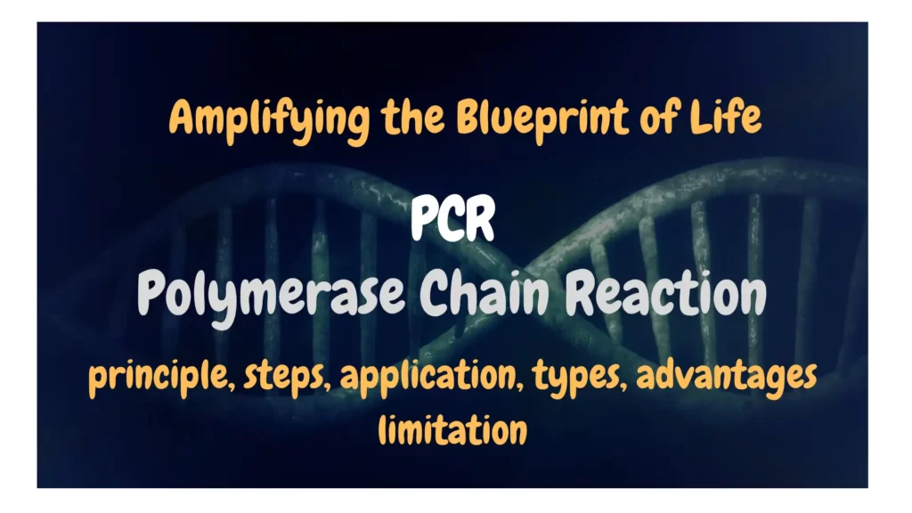 pcr