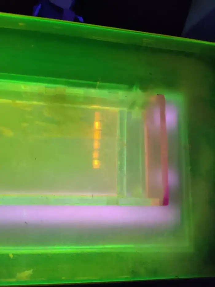 Agarose gel electrophoresis result visualization