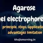 Agarose gel electrophoresis prinicple and application