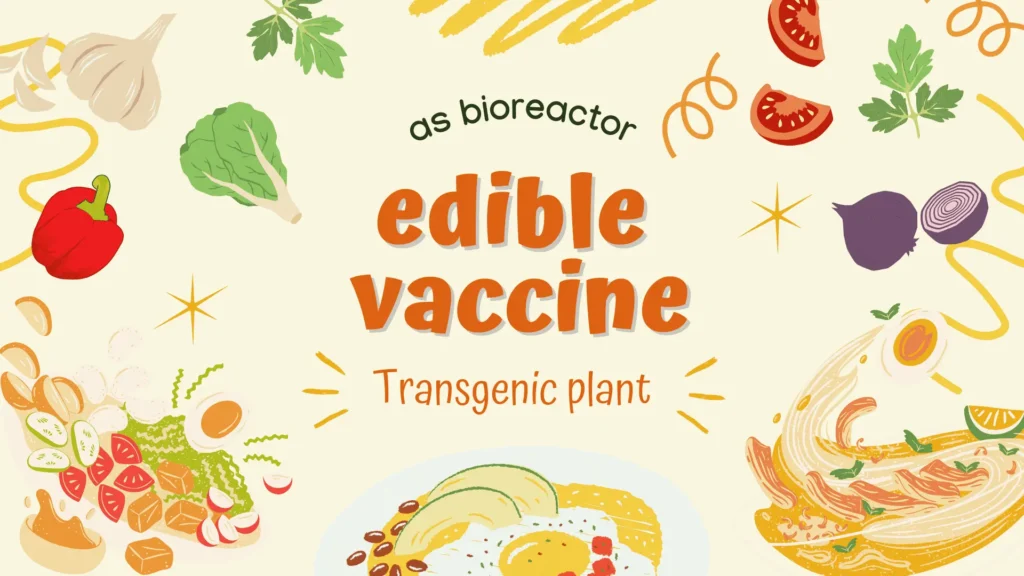 edible vaccine