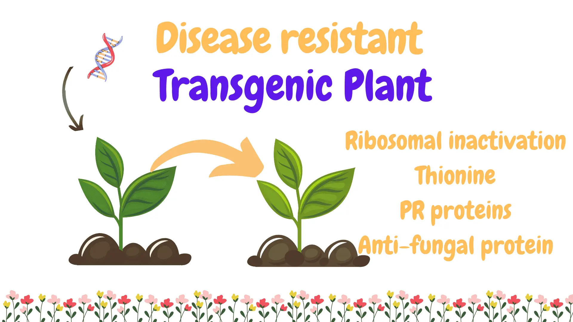 Disease resistant transgenic palnt