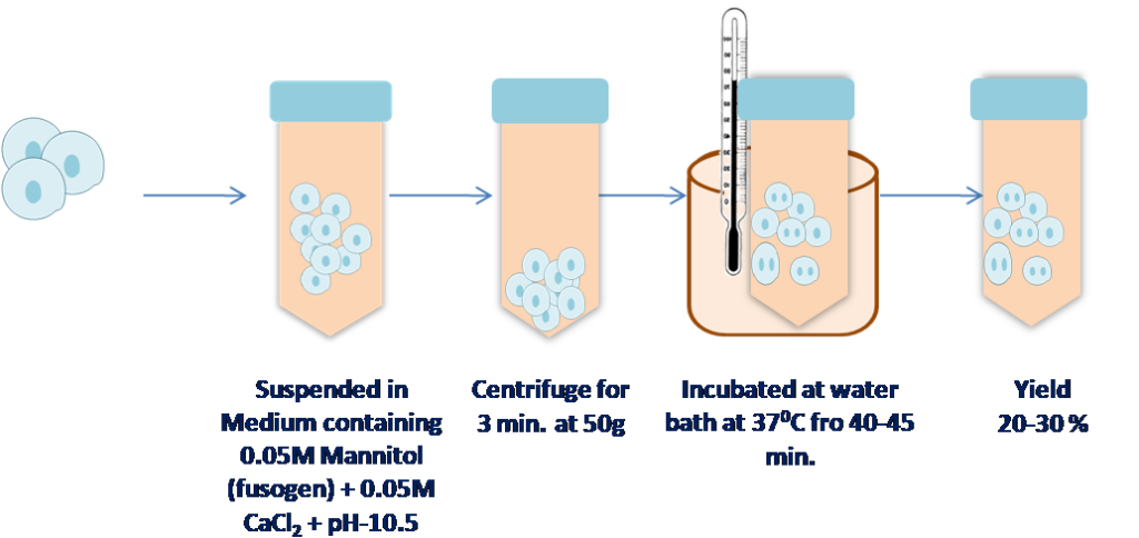 Somatic hybridization by Ca++ at High pH treatment for protoplast fusion