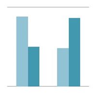 Vertical bar diagram
