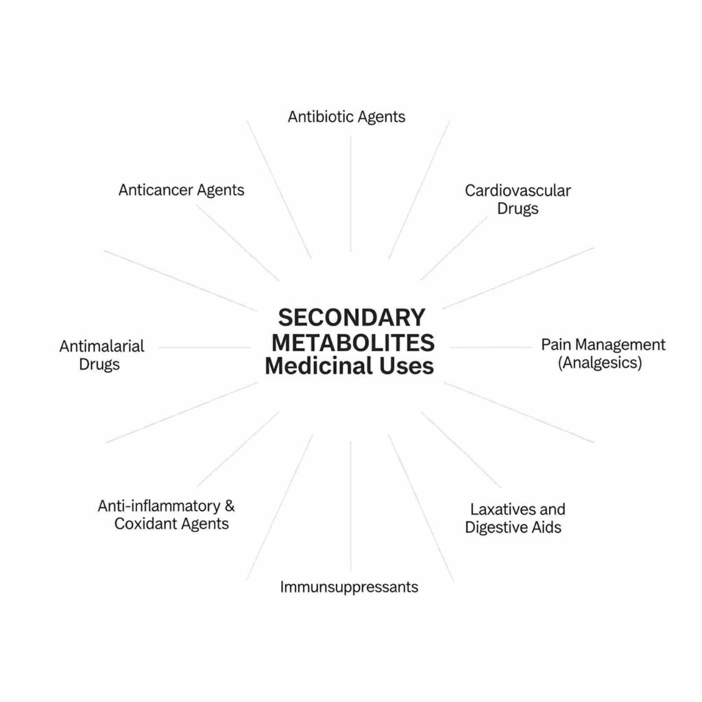 secondary metabolite uses | medicianl application of secondary metabolite